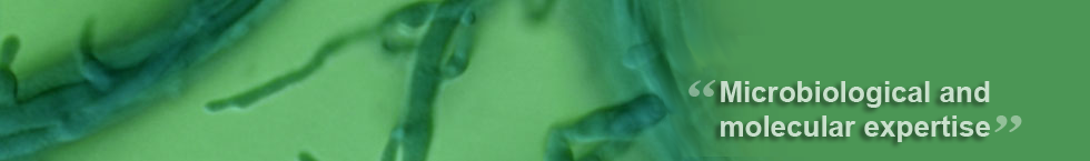 Slideshow Image 1