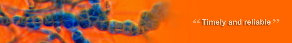 Slideshow Image 3